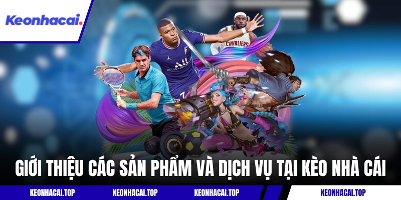 Giới thiệu định hướng và sứ mệnh của Kèo Nhà Cái 