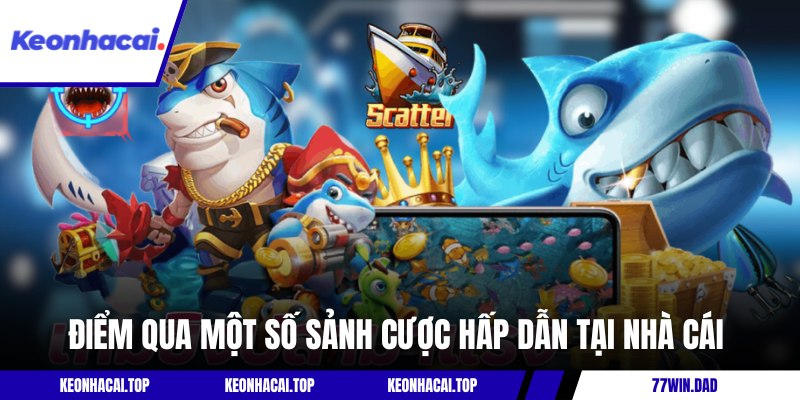 Điểm qua một số chuyên mục độc đáo tại nhà cái 